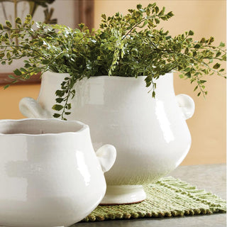 The Wellon footed cachepot, small size, styled with a potted plant
