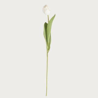 Warm white True Bloom real touch tulip stem, 26.75 inch faux floral stem, Third & Main