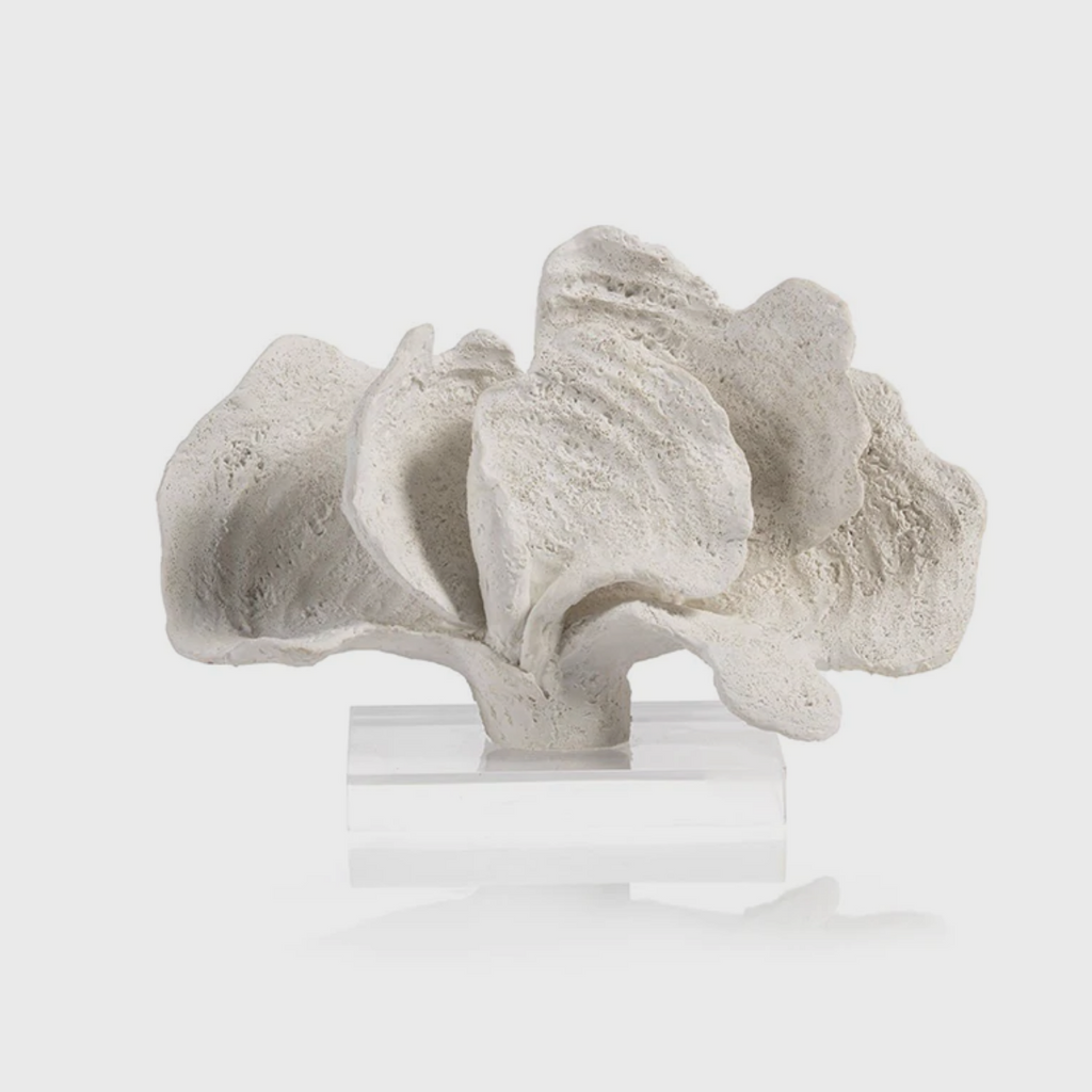 White  Coral Sculpture on Acrylic Base