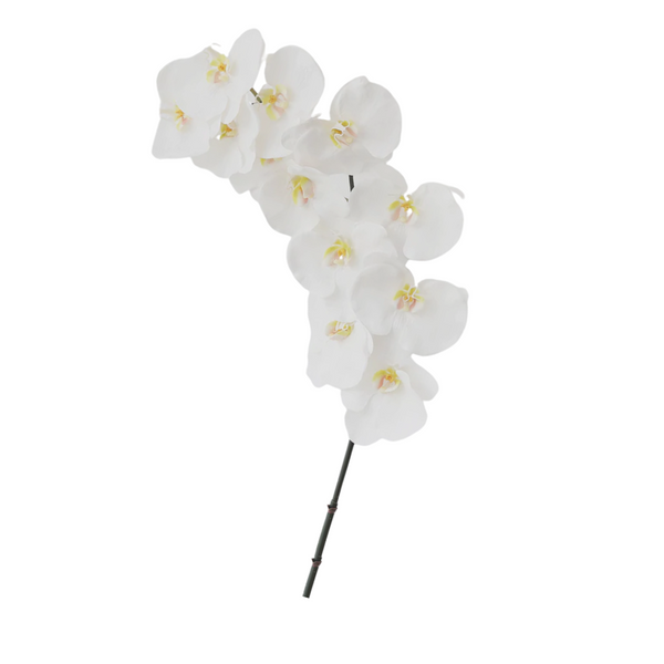 44" Real Touch White 12 Bloom Orchid Stem 